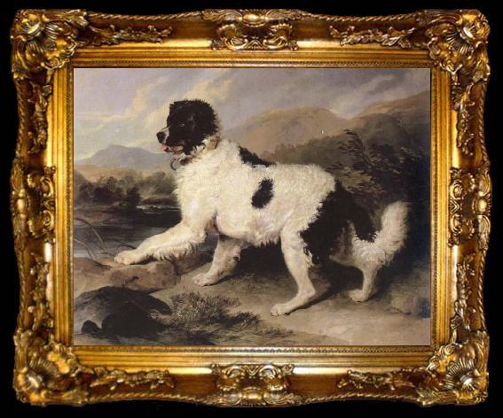 framed  Sir Edwin Landseer lion a newfoundland dog, ta009-2